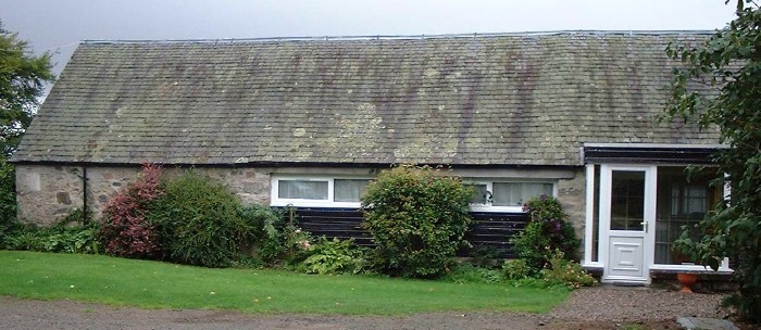 cot05.jpg - 83Kb