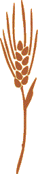 Straw